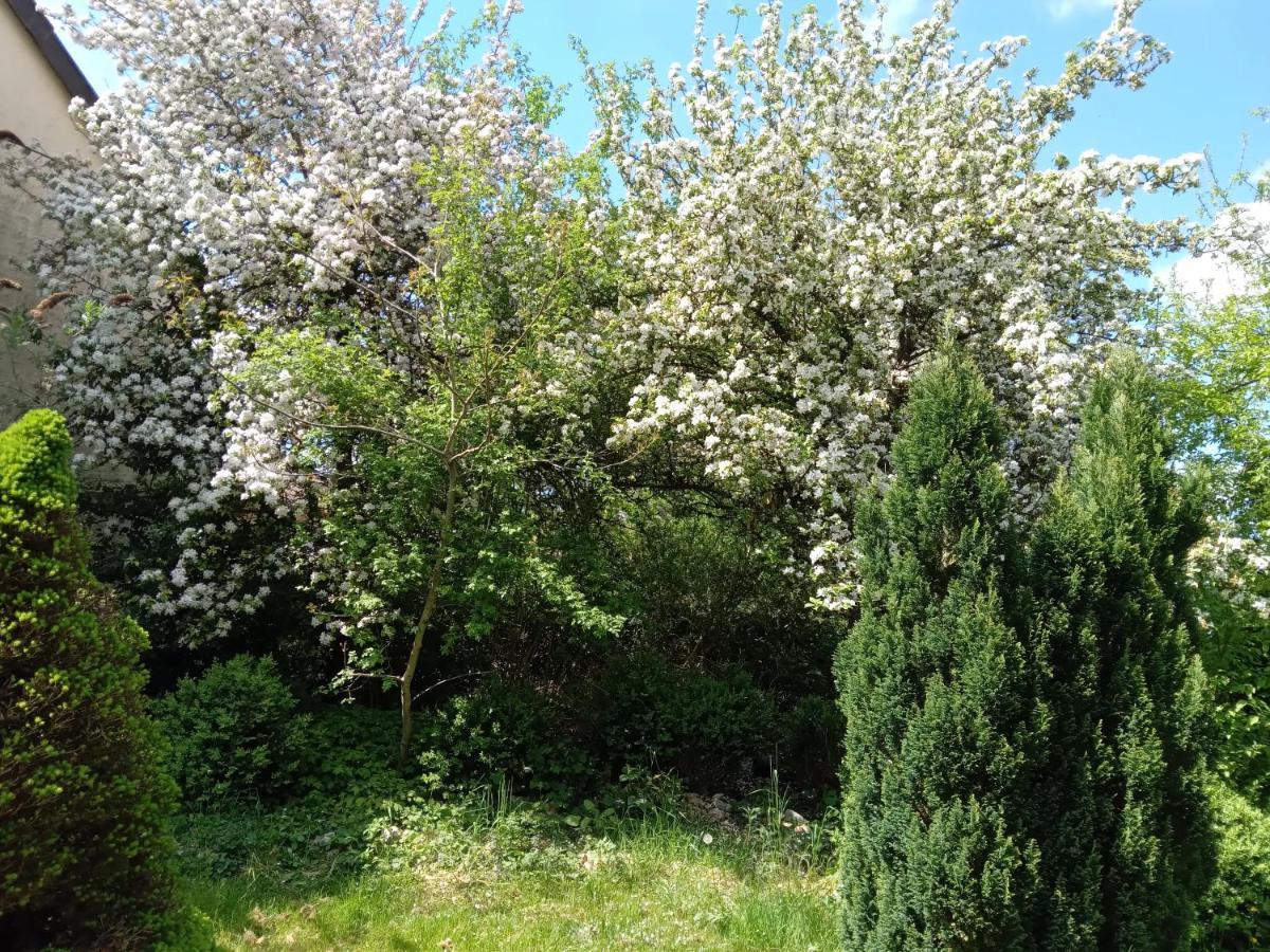Vakantie Boerderij De Boerenzwaluw Karl Luaran gambar